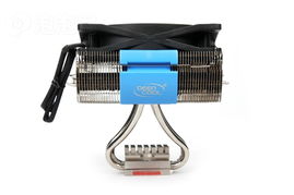 九州風神虎鯊其他圖片下載