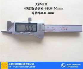 異形外溝槽卡尺訂做,卡尺,桂量量具非標(biāo)量具廠 查看