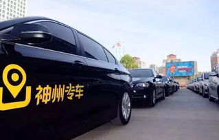 神州租車前三季業(yè)績大增 汽車租賃量飆升65%，出租率達(dá)歷史高位